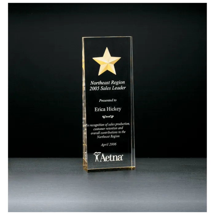 Constellation Series Etched Star with Gold Paint-Filled and Mirrored Bottom Acrylic