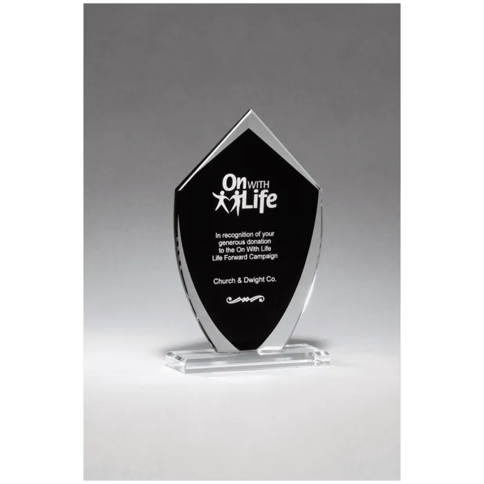 Shield Shaped Glass Award with Black Silkscreened Center