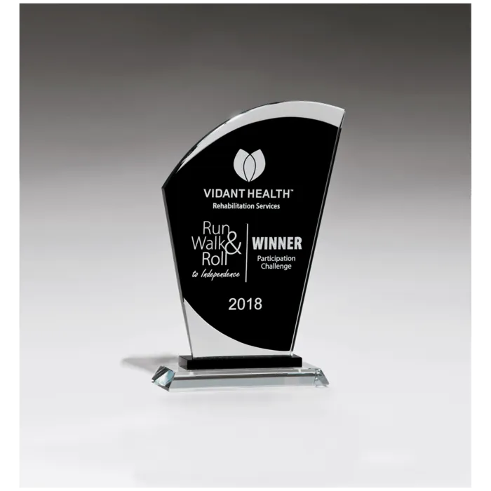 Sail Shaped Glass Award with Black Center