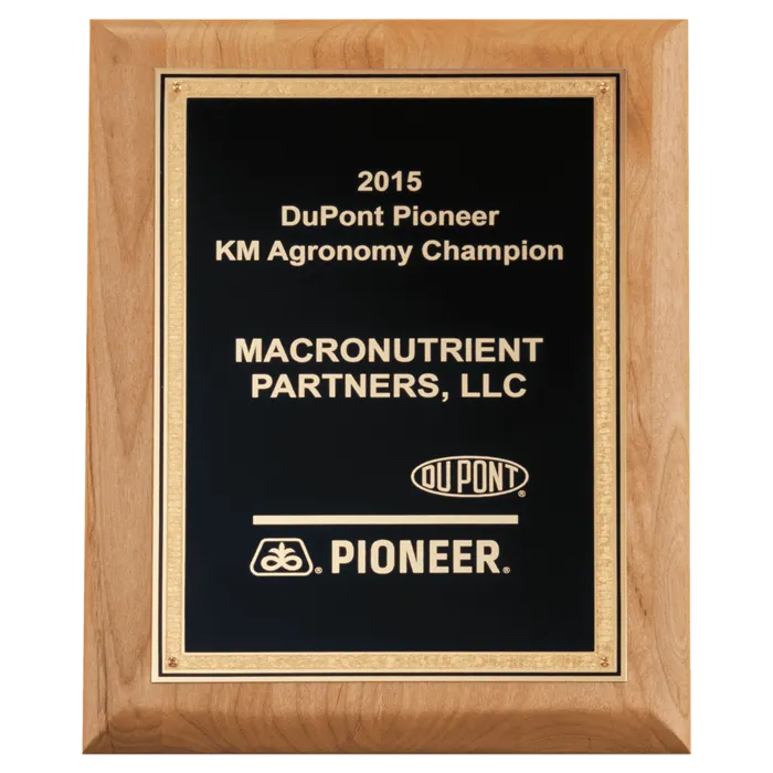 Natural Alder Wood Plaque with Black Textured Gold Florentine Bordered LaserFX Plate