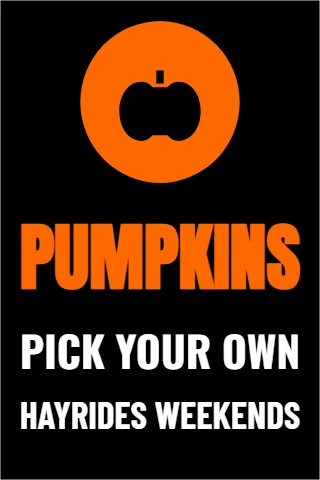 A-frame sign template, pumpkins, pick your own, reading "PUMPKINS", "PICK YOUR OWN" and "HAYRIDES WEEKENDS", in orange and black