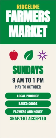 Banner stand template, farmers market, reading "FARMERS", "MARKET" and "SUNDAYS", in green and cream