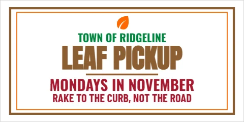 Banner template, leaf pickup, reading "LEAF PICKUP", "MONDAYS IN NOVEMBER" and "RAKE TO THE CURB, NOT THE ROAD", in white