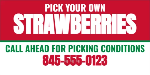 Banner template, pick your own strawberries, reading "PICK YOUR OWN", "STRAWBERRIES" and "845-555-0123", in red and white