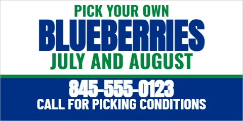 Banner template, pick your own blueberries, reading "BLUEBERRIES", "JULY AND AUGUST" and "845-555-0123", in blue and white