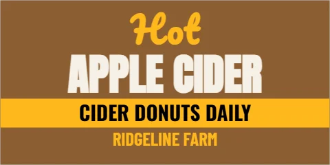 Banner template, hot apple cider, reading "Hot", "APPLE CIDER" and "CIDER DONUTS DAILY", in gold and brown