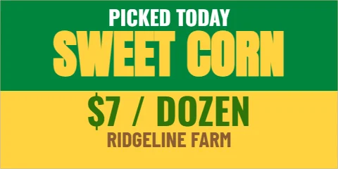 Banner template, sweet corn, picked today, reading "SWEET CORN", "$7 / DOZEN" and "RIDGELINE FARM", in green and yellow