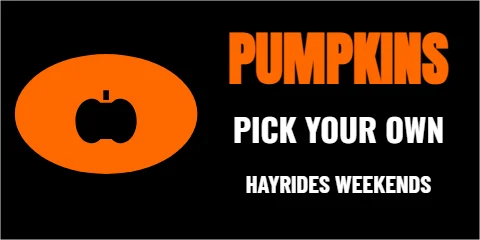 Banner template, pumpkins, pick your own, reading "PUMPKINS", "PICK YOUR OWN" and "HAYRIDES WEEKENDS", in orange and black
