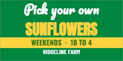 Banner template, u-pick sunflowers, reading "Pick your own", "SUNFLOWERS" and "WEEKENDS · 10 TO 4", in yellow and green