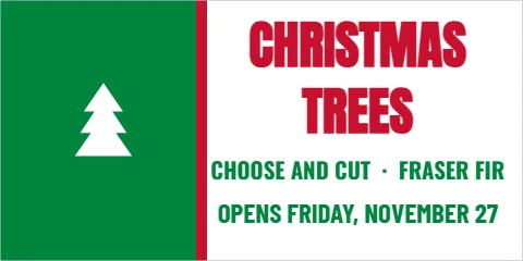 Banner template, christmas trees, reading "CHRISTMAS", "TREES" and "OPENS FRIDAY, NOVEMBER 27", in green and white