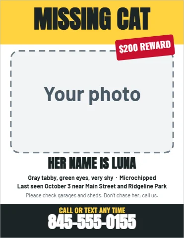 Flyer template, lost cat with reward, reading "MISSING CAT", "HER NAME IS LUNA" and "845-555-0155", in yellow and white, with a space for your logo