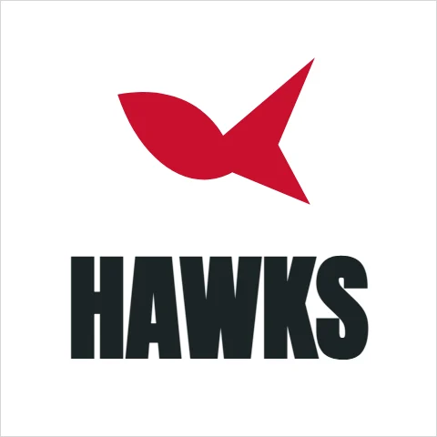 T-shirt template, chest: bird and team, embroidered, reading "HAWKS", in white