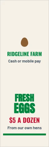 Table cover template, market stall runner, reading "FRESH", "EGGS" and "$5 A DOZEN", in cream