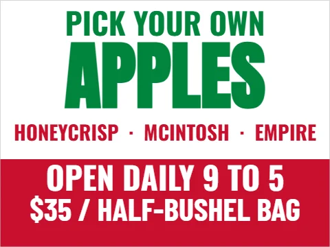 Yard sign template, u-pick apples, reading "PICK YOUR OWN", "APPLES" and "OPEN DAILY 9 TO 5", in red and white