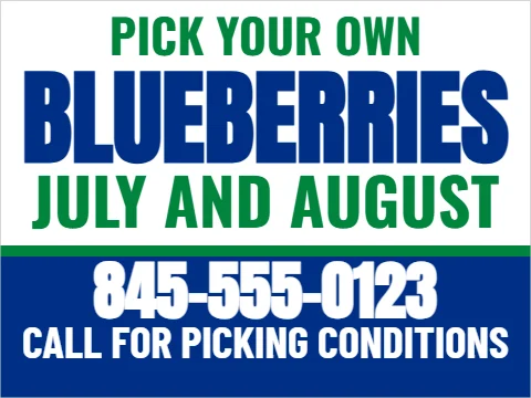 Yard sign template, pick your own blueberries, reading "BLUEBERRIES", "JULY AND AUGUST" and "845-555-0123", in blue and white