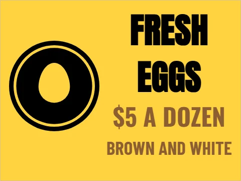 Yard sign template, eggs, round badge, reading "FRESH", "EGGS" and "$5 A DOZEN", in black and yellow