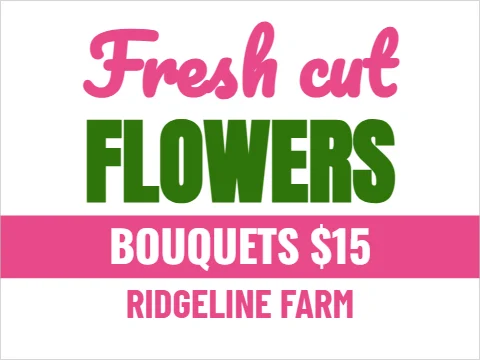 Yard sign template, fresh cut flowers, reading "Fresh cut", "FLOWERS" and "BOUQUETS $15", in pink and white