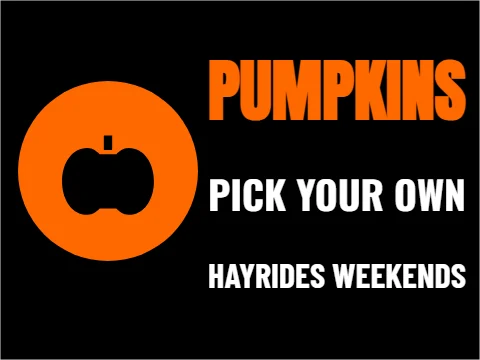 Yard sign template, pumpkins, pick your own, reading "PUMPKINS", "PICK YOUR OWN" and "HAYRIDES WEEKENDS", in orange and black