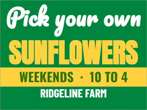 Yard sign template, u-pick sunflowers, reading "Pick your own", "SUNFLOWERS" and "WEEKENDS · 10 TO 4", in yellow and green